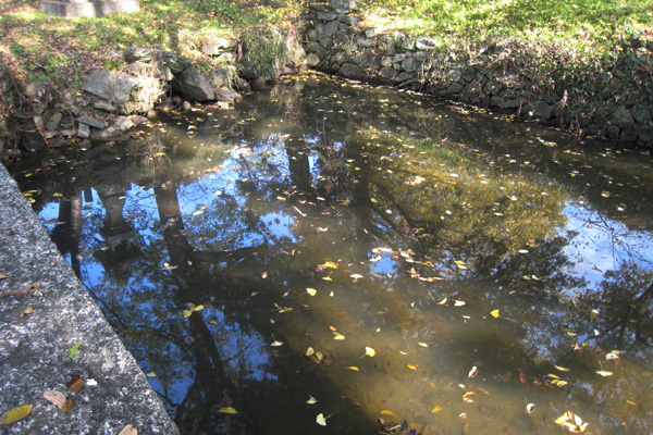 岩戸神社麻晒の池